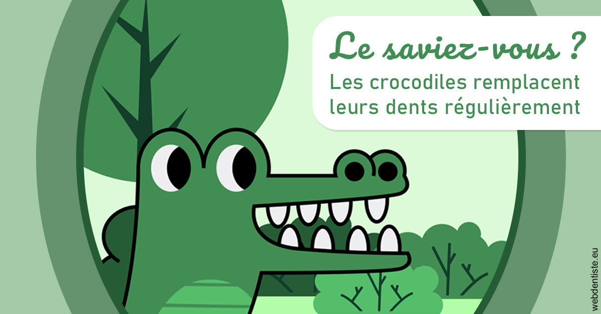 https://www.docteur-renault-hager.fr/Crocodiles 2
