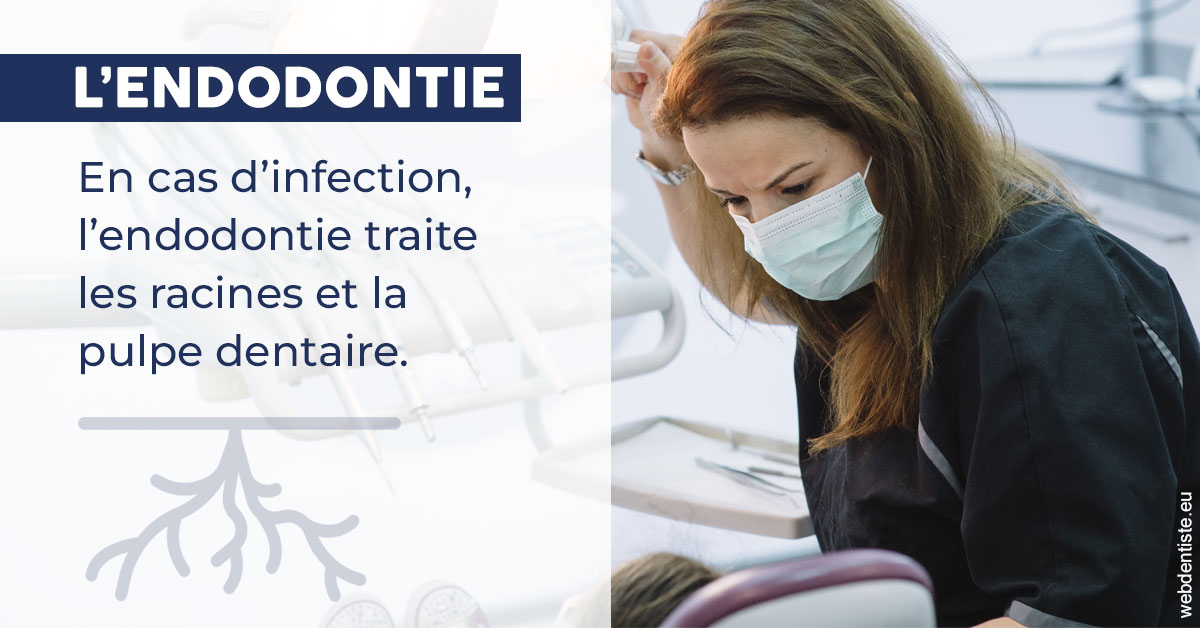 https://www.docteur-renault-hager.fr/L'endodontie 1