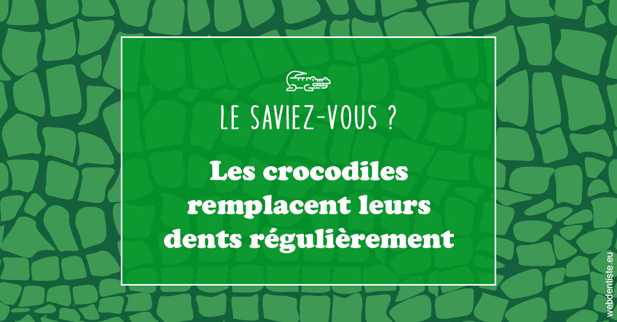 https://www.docteur-renault-hager.fr/Crocodiles 1