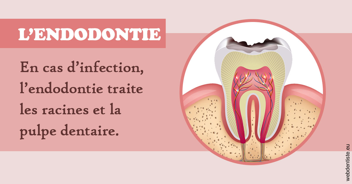 https://www.docteur-renault-hager.fr/L'endodontie 2
